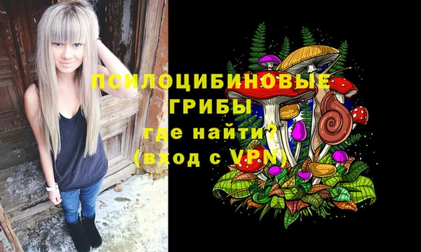 мдма Новодвинск