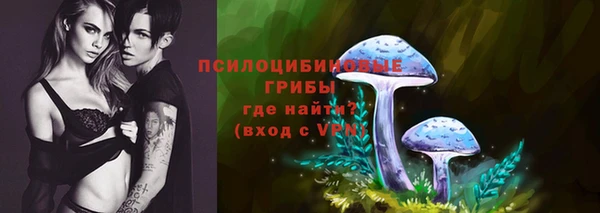 мдма Новодвинск