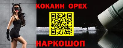 крисы Гагарин