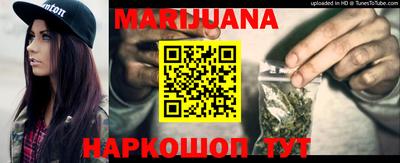 кокс Гатчина