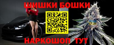 крисы Гагарин
