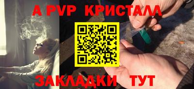 кокс Гатчина