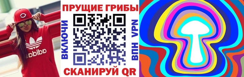 mega маркетплейс Торжок Псилоцибиновые грибы Psilocybe