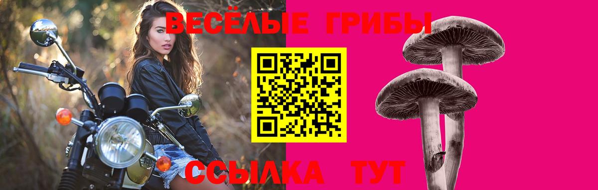 Псилоцибиновые грибы мицелий  Галлюциногенные грибы Magic Shrooms  Торжок  Вход с VPN 